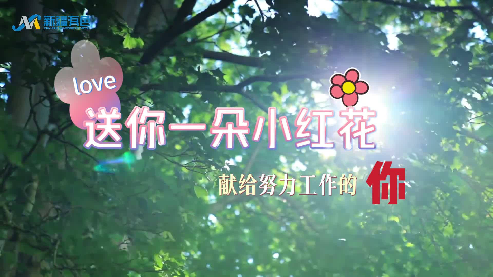 ����֮��hy590(�й�)���¹ٷ���վ